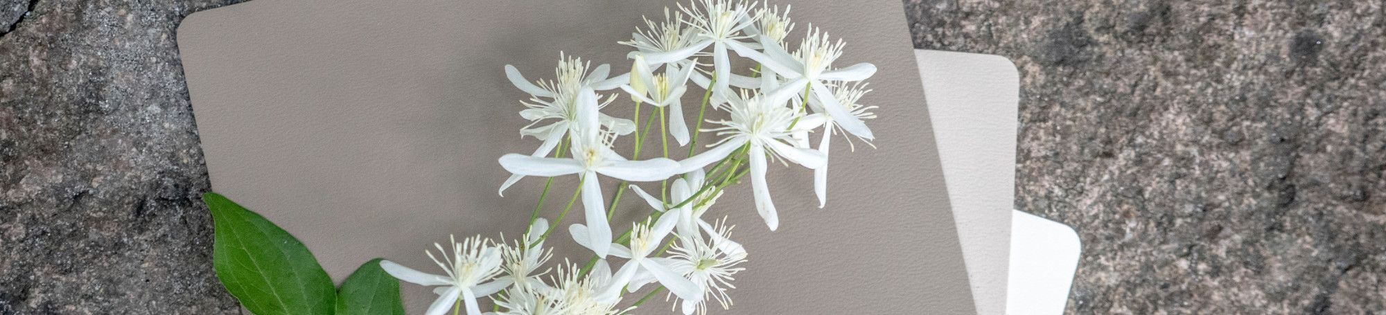 Morbern Europe - Over fifty years at the forefront of the performance fabrics industry